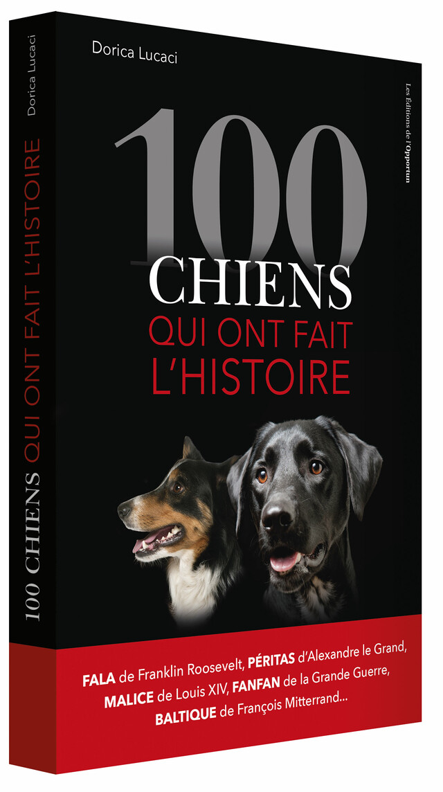 100 chiens qui ont fait l’Histoire - Dorica LUCACI - Les Éditions de l'Opportun