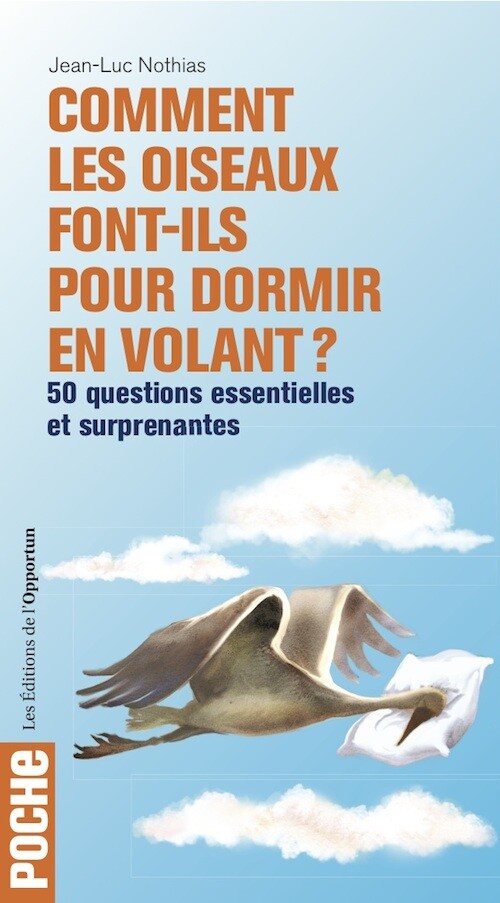 Comment les oiseaux font-ils pour dormir en volant ?  - Jean-Luc NOTHIAS - Les Éditions de l'Opportun