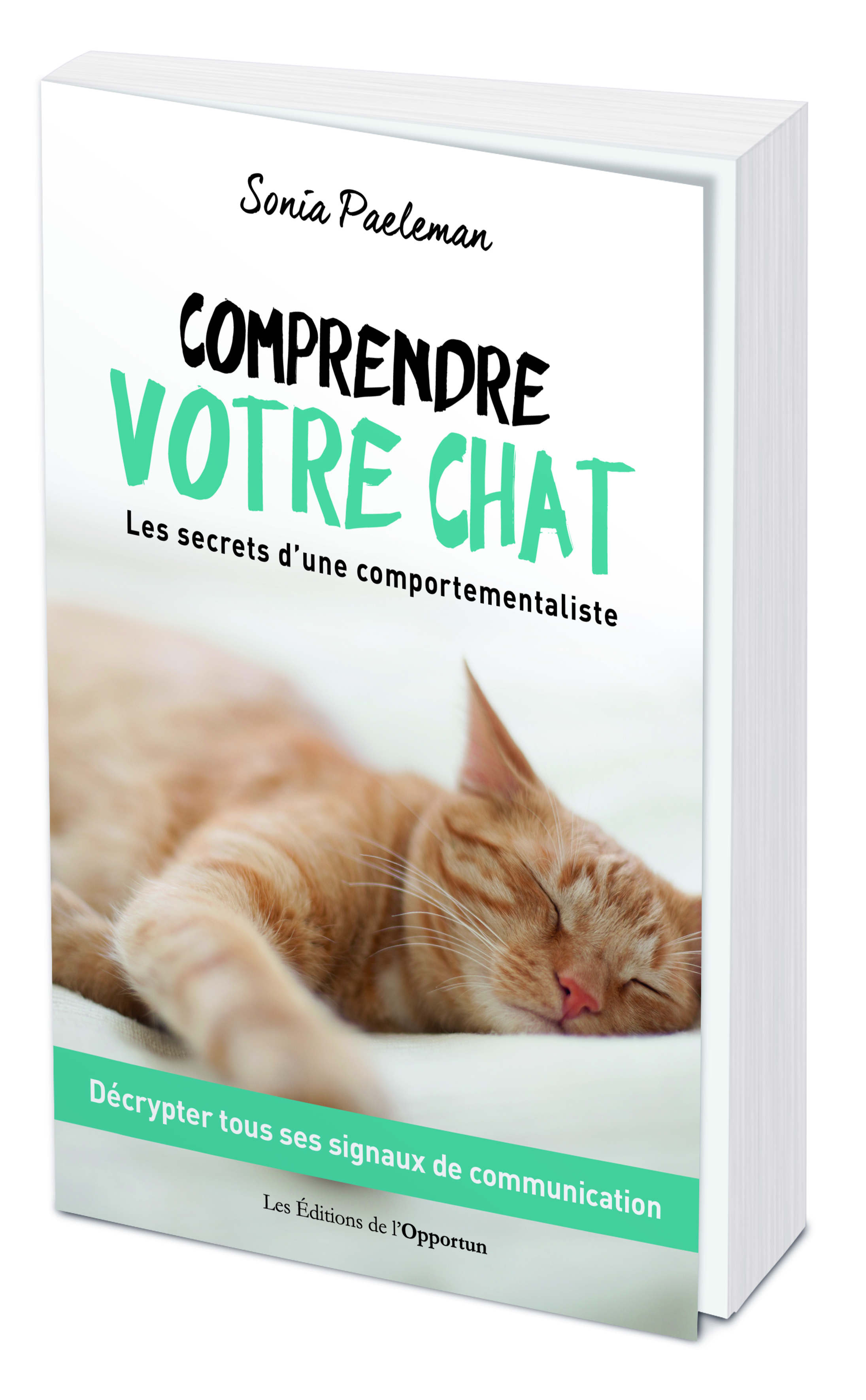Comprendre Votre Chat Les Secrets D Une Comportementaliste
