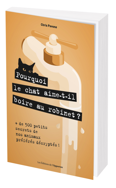 POURQUOI LE CHAT AIME-T-IL BOIRE AU ROBINET ? - Chris PAVONE - Les Éditions de l'Opportun