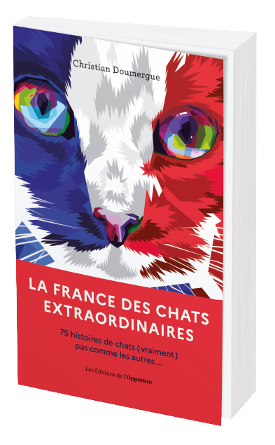 LA FRANCE DES CHATS EXTRAORDINAIRES  - Christian  DOUMERGUE - Les Éditions de l'Opportun