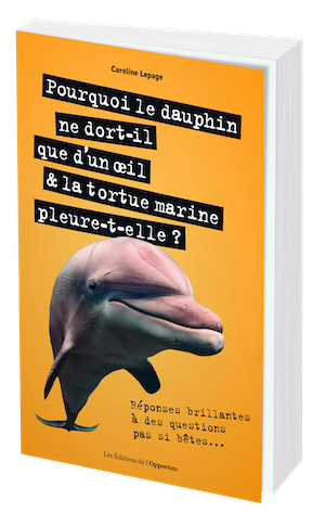 Pourquoi le dauphin ne dort-il que d'un oeil & la tortue marine pleure-t-elle ? - Caroline LEPAGE - Les Éditions de l'Opportun