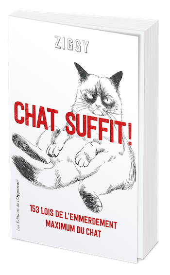 Chat suffit ! - Stéphane GARNIER - Les Éditions de l'Opportun