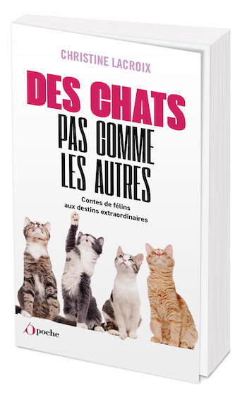 Des chats pas comme les autres - Christine Lacroix - Les Éditions de l'Opportun