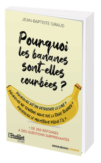 Pourquoi les bananes sont-elles courbées ? - Jean-Baptiste GIRAUD - L'Etudiant Éditions
