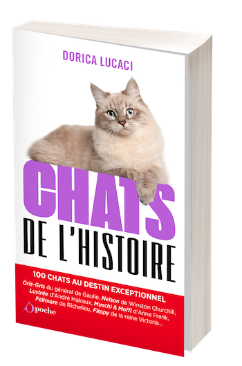 Chats de l'histoire - Dorica LUCACI - Les Éditions de l'Opportun