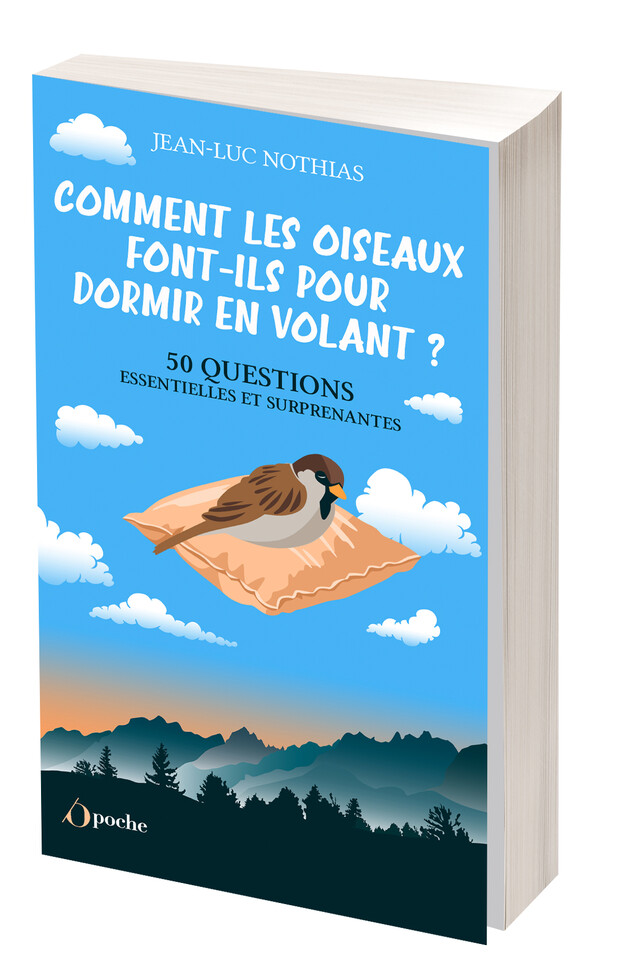 Comment les oiseaux font-ils pour dormir en volant ? - Jean-Luc NOTHIAS - Les Éditions de l'Opportun